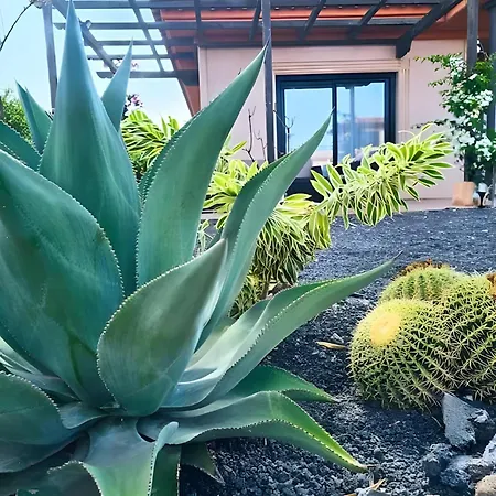 Casa Topik, Family And Surfhouse 度假居 Majanicho